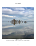 Landscape photography