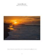 Shorebird landscape photography at sunrise