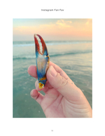 Blue crab claw still life photography at sunset