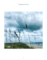Sea oats landscape photography beneath storm clouds