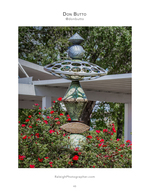 Ceramic sculpture still life photography among roses