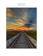 Marsh boardwalk landscape photography