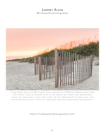 Dune fences landscape photography
