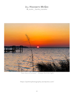 Sea oats sunset landscape photography