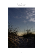 Dune grass silhouette landscape photography
