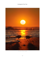 Sanderlings foraging at sunset, wildlife photography