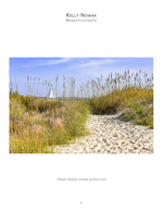 Sandy path through sea oats to a sailboat, coastal photography