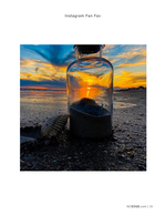 beach still life photography