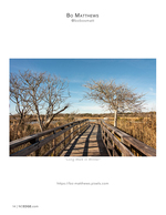 marsh boardwalk landscape photography