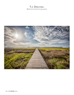 marsh boardwalk landscape photography