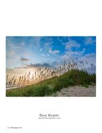 Coastal dune landscape photography at sunrise