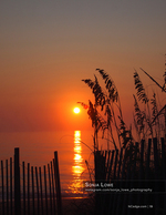 Silhouette landscape photography at sunset