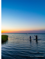 cast netting coastal photography