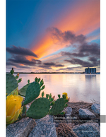 waterfront sunset landscape photography