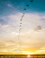 pelicans in flight wildlife photography