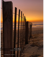 coastal landscape photography of a dune fence at sunrise