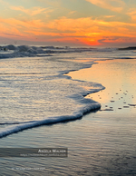 seascape photography of a curling wave at sunset