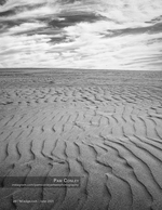 black and white photography of windswept dune ripples