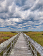 landscape photography of a marsh boardwalk under stormy skies
