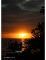landscape photography of a sunset through the trees