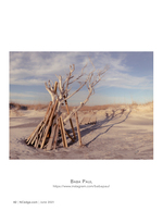 still life photography of a driftwood teepee on the dune