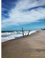 Driftwood landscape photography on the shore
