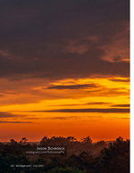 Sunrise landscape photography over the treeline