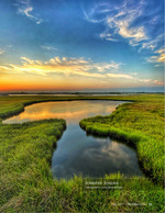 Marsh pond nature photography at sunset