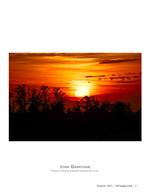 sunset photography of a silhouetted treeline