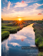 sunset photography of a marsh creek