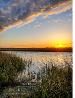 sunset photography of a marsh creek at golden hour