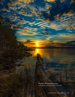sunset photography of a driftwood log