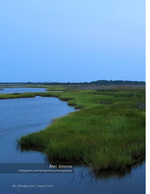 landscape photography of a marsh at dusk