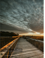 boardwalk architecture photography