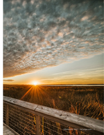 marsh sunset photography