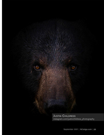 wildlife photography