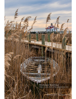 boat photography
