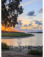 marsh sunset photography