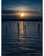 marina sunset photography