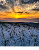 Sea oats landscape photography at sunrise