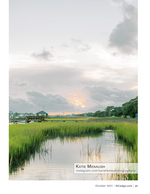 Marsh landscape photography at dusk