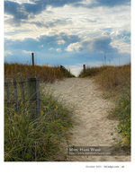 Dune path landscape photography