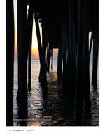 Sunset beneath the pier pilings, coastal photography