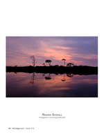 Twilight tree line reflection, landscape photography