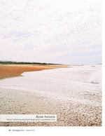 Shell-strewn shoreline, coastal photography