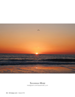 Bird against the setting sun, landscape photography