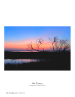 Marsh sunset silhouettes, landscape photography