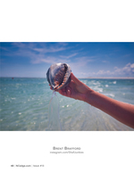 Conch shell catch, still life photography