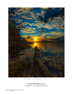 Fallen tree landscape photography at the water's edge