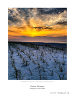 Sea oats seascape photography at dawn